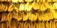 Une histoire de bananes