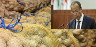 Pomme de terre « Nous ferons tout pour venir à bout de cette frénésie des prix des produits agricoles » déclare le ministre