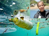Tipasa: Samia Balistrou, une monitrice de plongée en «guerre» contre la pollution marine