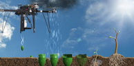 Une startup développe un drone capable de planter des arbres