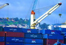Contrôle des importations: Renforcement du contrôle sanitaire aux frontières