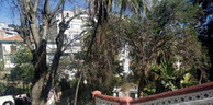 Alger: Réouverture du jardin de la Liberté