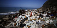 Equateur: 22 tonnes de déchets ramassés sur les côtes des îles Galapagos en moins de trois mois