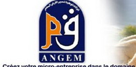 Angem: Plus de 827 000 personnes bénéficiaires de microcrédits