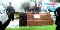 Naâma: Une tentative de trafic de 5 quintaux de kif provenant du Maroc mise en échec