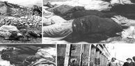 Les massacres du 8 Mai 1945: L’étincelle de l’espoir s’est éteinte