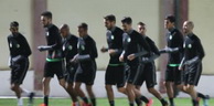 Les spéculations vont bon train / Qui pour diriger les Verts ?