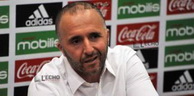 EN : Belmadi prépare déjà la Gambie