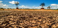 Lutte contre la sécheresse et la désertification – Un plan national sera finalisé à fin 2018