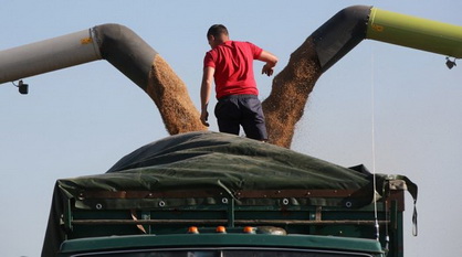 Russia Harvest As Russian Wheat Falls to Six-Year Low On Crop Outlook