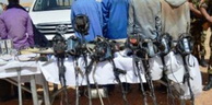Tamanrasset : Reddition d’un terroriste aux autorités militaires