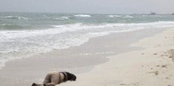 Ain Temouchent: Découverte d’un autre corps rejeté par les vagues sur la plage de Sbiaat