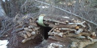 Batna: Trois casemates pour terroristes découvertes et détruites à Batna