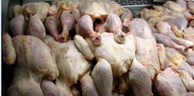 Djelfa: Saisie de plus de 7,5 qx de poulet avarié