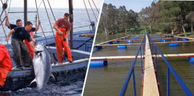 Agriculture: Chérif Omari appelle à la « démocratisation » du secteur de la pêche et de l’aquaculture