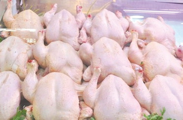 d-314438le-prix-du-poulet-en-chute-libre-398b1