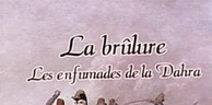 Cinéma: « Les enfumades du Dahra, le crime de la civilisation » projeté à la cinémathèque d’Oran
