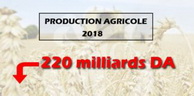 Agriculture: La production agricole des céréales dépasse 220 milliards de DA