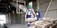 Exportations de ciment: Une hausse de 850% enregistrée durant les 5 premiers mois 2019