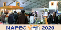 Salon professionnel international «NAPEC 2020»: Plus de 650 professionnels attendus à Oran