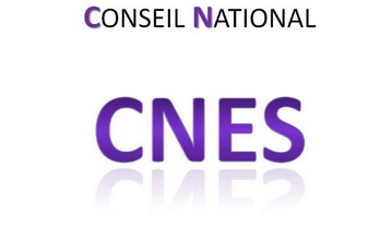 le Conseil national économique et social (CNES)