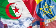 Commerce: Le Conseil d’affaires Algérie-Ethiopie est né