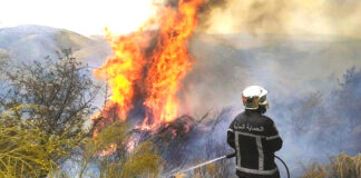 Protection civile: 11 foyers d’incendies enregistrés ce dimanche à travers six wilayas du pays