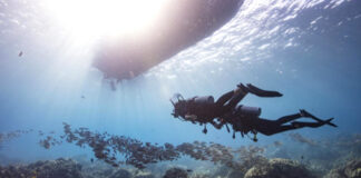 Aïn Près de 200 plongeurs professionnels forméspar le Club PaRa Dive en trois ans