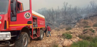 Les incendies meurtriers sont «totalement maîtrisés»