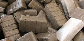 Sûreté de wilaya d’Alger: 4 individus arrêtés et plus de 70 kg de cannabis saisis