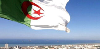 Feux de forêt: Vaste élan de solidarité arabe avec l’Algérie