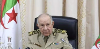 Coopération militaire algéro-camerounaise: «Une visite qui constitue le prélude à une coopération militaire profitable à nos deux pays», souligne Chengriha