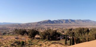 Terres agricoles non exploitées: Le gouvernement récupère près de 17 000 hectares dans la wilaya de Naâma