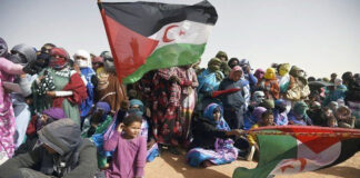 Sahara occidental: Le statut juridique clairement et expressément défini