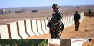 Sphère informelle, évasion fiscale, trafics aux frontières, fuite des capitaux et corruption