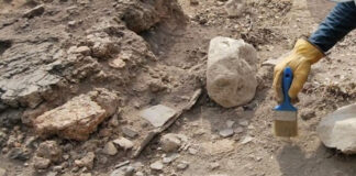 Archéologie: Décoloniser la préhistoire algérienne et réécrire l’histoire de cette période