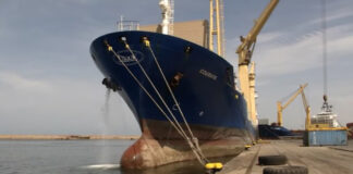 Transport maritime: La ligne commerciale Algérie-Sénégal lancée