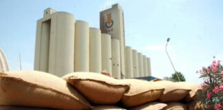 Agriculture: Les céréaliculteurs tenus de livrer la totalité de leurs récoltes aux coopératives