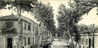 Révolution: La commune d’Ouled Yaich à Blida commémore le 66e anniversaire du massacre du 17 septembre 1956