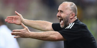 EN: Belmadi met les choses au clair