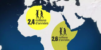 68e anniversaire du déclenchement de la Guerre de Libération nationale: Deux expositions sur le patrimoine culturel immatériel et la préhistoire inaugurées à Alger