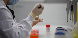 Coronavirus: 17 nouveaux cas et aucun décès ces dernières 24 heures en Algérie