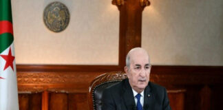 Dans un message à l’occasion de la Journée de l’émigration: Tebboune appelle la diaspora à contribuer au projet du renouveau national