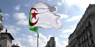 Tenue du Sommet arabe le 1er novembre: Prolongement logique des principes de la Déclaration du 1er Novembre 1954