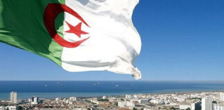 Automobile: Abdelmadjid Tebboune autorise l’importation des voitures de moins de trois ans