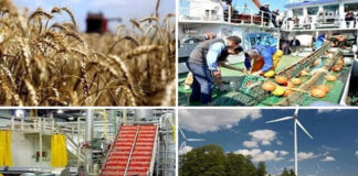 Brahim Djamel Kassali à Washington DC : «Evolution positive des indicateurs économiques et retour de la croissance en Algérie»