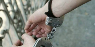 Elles assassinent leur belle-sœur et l’entèrent dans une étable: Deux femmes sous mandat de dépôt pour homicide volontaire à Blida