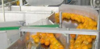 Oran: Projet de réalisation d’une première unité de production d’extrait d’orange