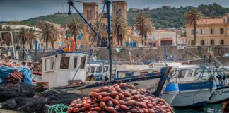 Chlef : Vaste campagne de nettoyage des ports et abris de pêche