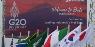 Sommet du G20: Quels sont les enjeux du Sommet de Bali sous la gouvernance de l’Indonésie ?